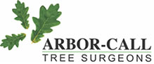 Arbor Call Ltd logo